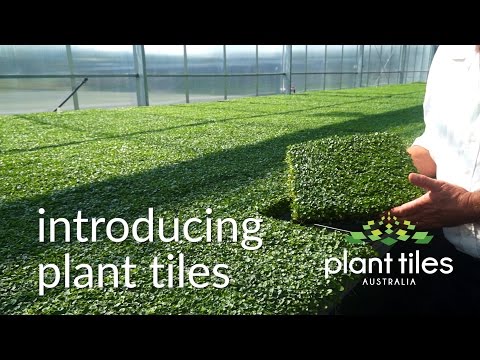 Plant Tiles Australia